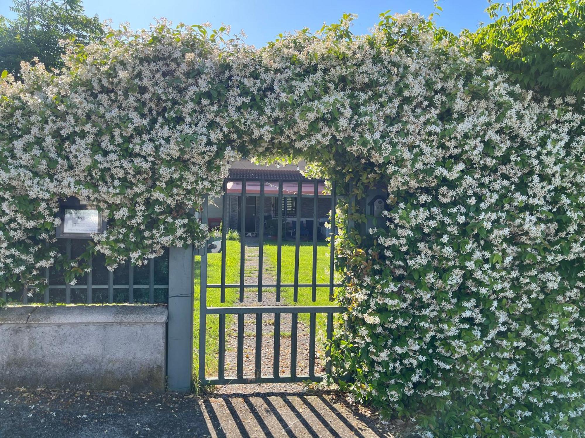 Vila Garda Art&Garden Volta Mantovana Exteriér fotografie